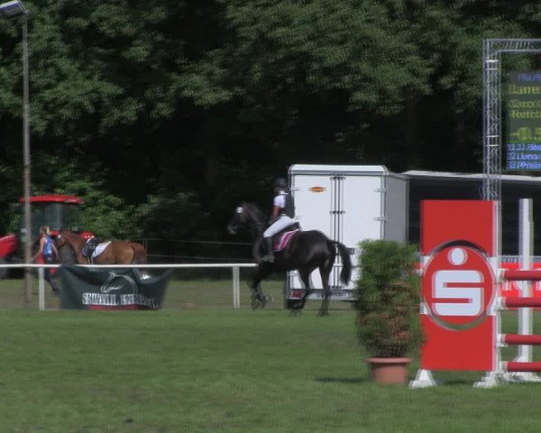 Reitturnier Wulkow 2018