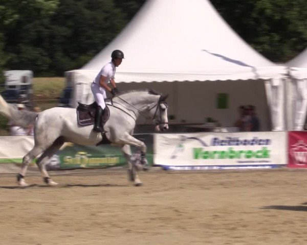 Reitturnier Münster-Albachten 2018