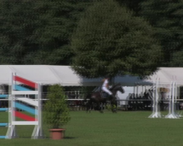 Reitturnier Wulkow 2018