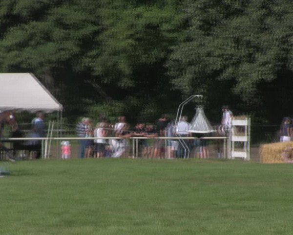 Reitturnier Wulkow 2018