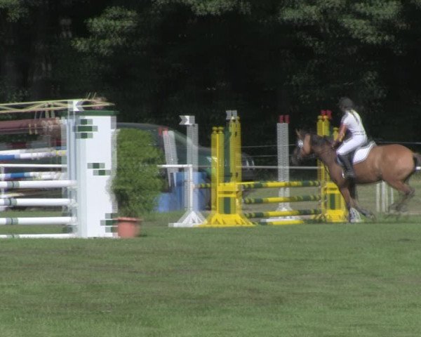 Reitturnier Wulkow 2018