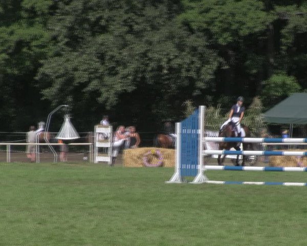 Reitturnier Wulkow 2018