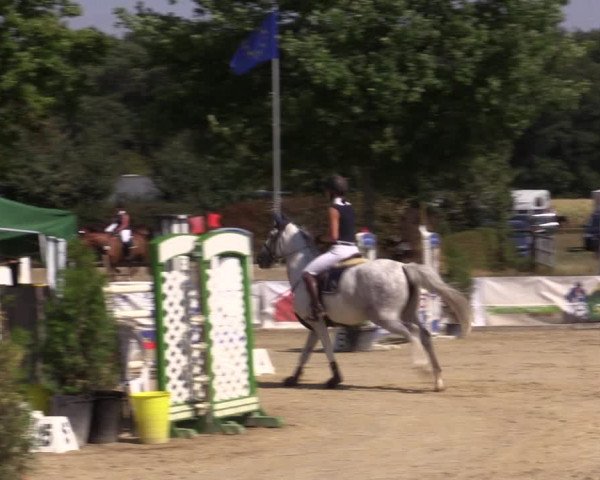 Reitturnier Münster-Albachten 2018