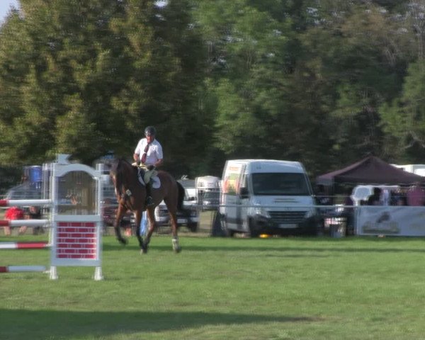 Reitturnier Wulkow 2018