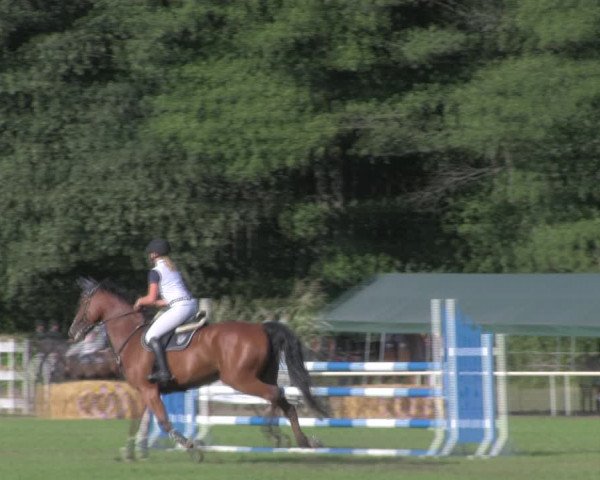 Reitturnier Wulkow 2018