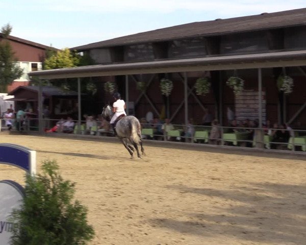 Reitturnier Münster-Albachten 2018