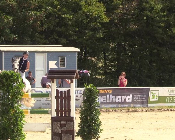 Reitturnier Menden 2018