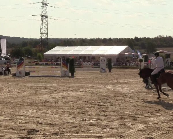 Reitturnier Menden 2018