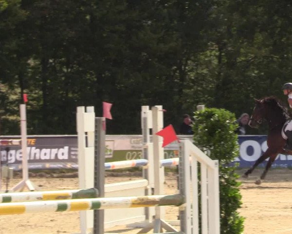 Reitturnier Menden 2018
