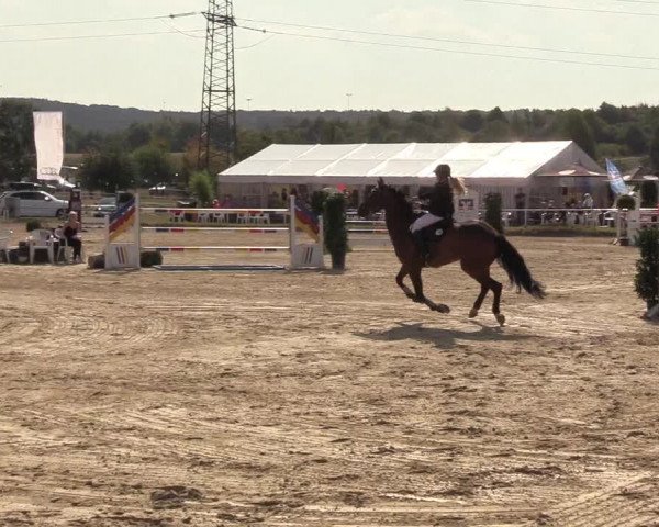 Reitturnier Menden 2018