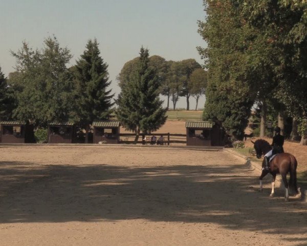 Reitturnier Datteln 2018