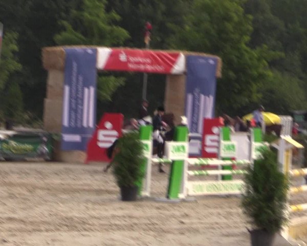 Reitturnier Münster-Albachten 2018