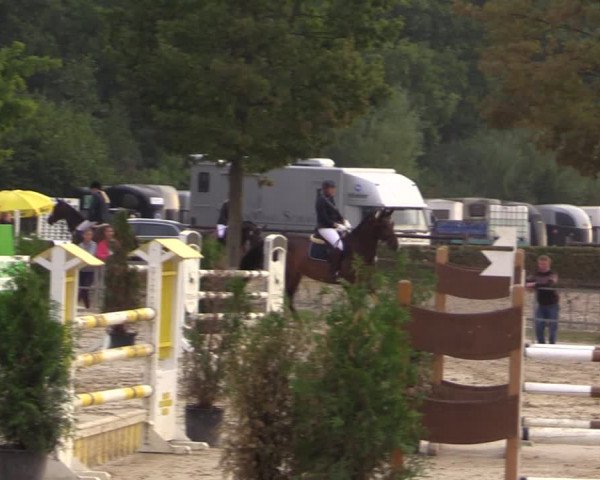 Reitturnier Münster-Albachten 2018