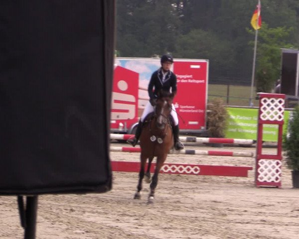 Reitturnier Münster-Albachten 2018