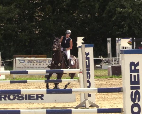 Reitturnier Menden 2018