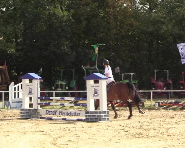 Reitturnier Menden 2018