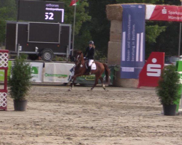 Reitturnier Münster-Albachten 2018