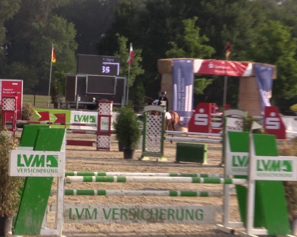 Reitturnier Münster-Albachten 2018