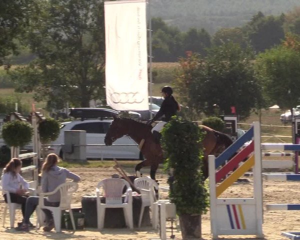 Reitturnier Menden 2018