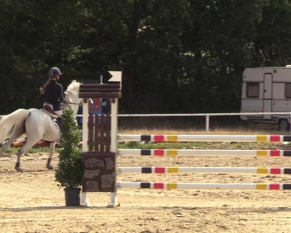 Reitturnier Menden 2018