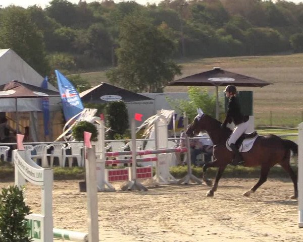 Reitturnier Menden 2018
