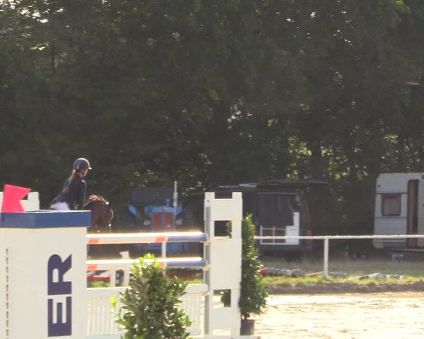 Reitturnier Menden 2018