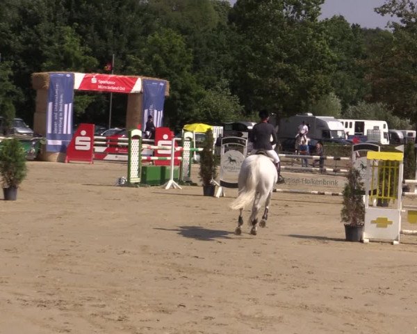 Reitturnier Münster-Albachten 2018
