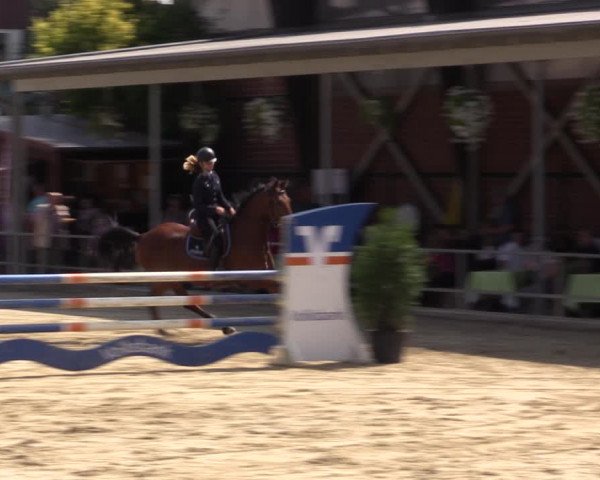 Reitturnier Münster-Albachten 2018