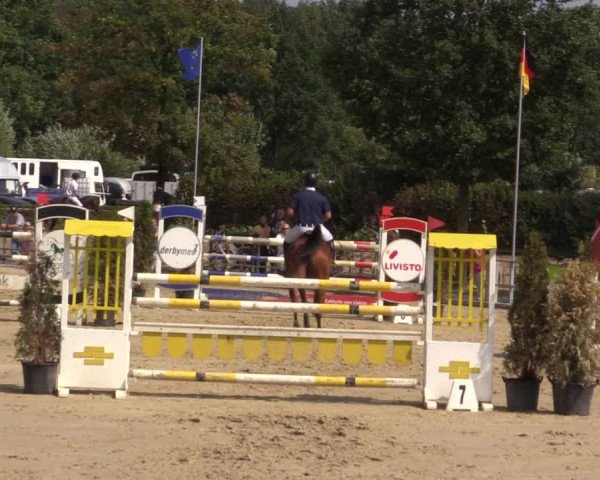 Reitturnier Münster-Albachten 2018