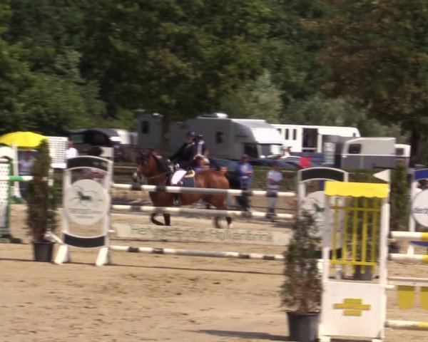 Reitturnier Münster-Albachten 2018