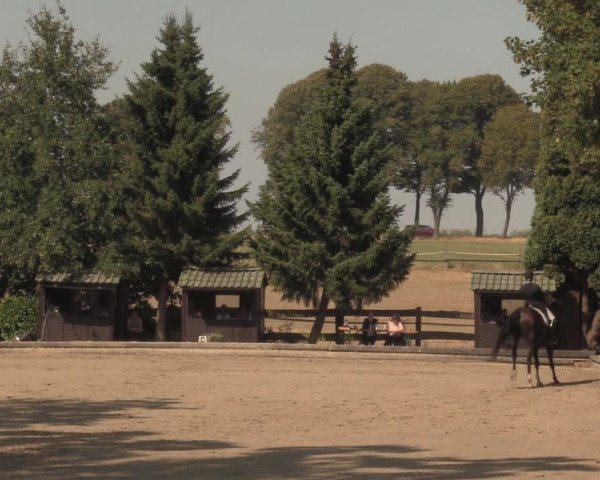 Reitturnier Datteln 2018