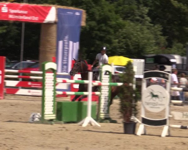 Reitturnier Münster-Albachten 2018