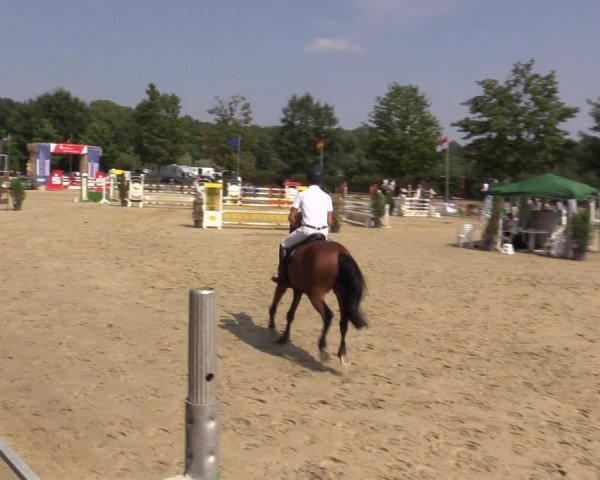 Reitturnier Münster-Albachten 2018