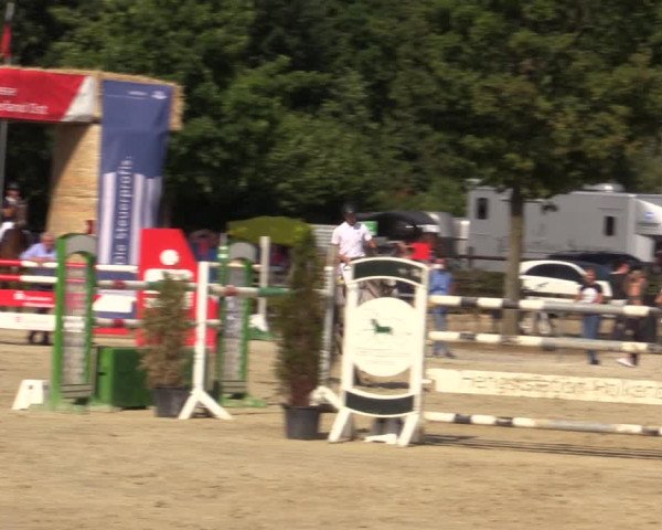Reitturnier Münster-Albachten 2018