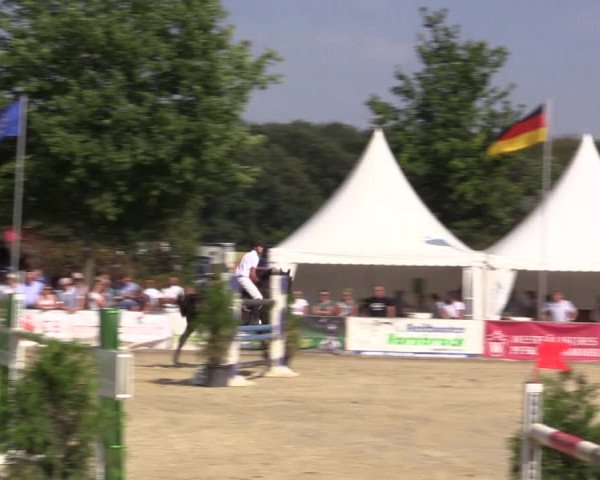 Reitturnier Münster-Albachten 2018
