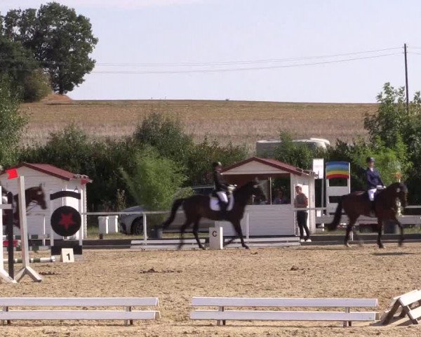 Reitturnier Menden 2018