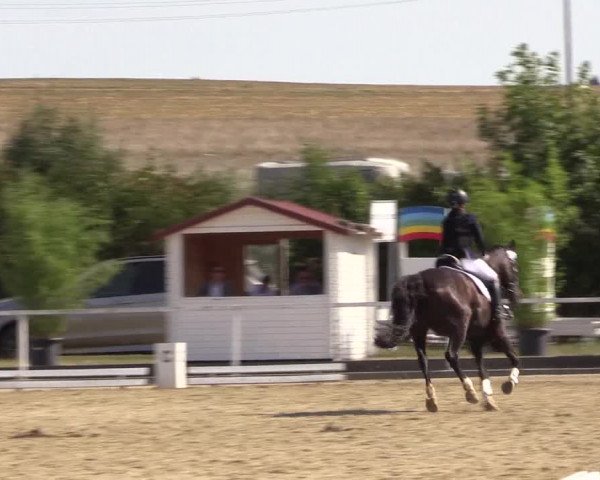 Reitturnier Menden 2018