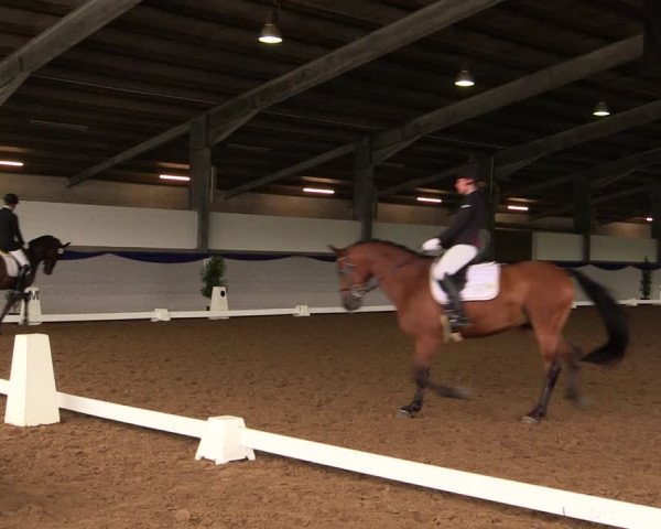 Reitturnier Münster-Albachten 2018