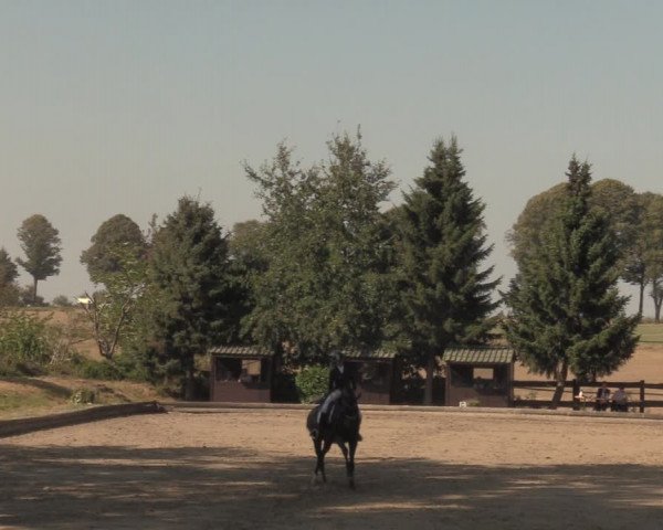 Reitturnier Datteln 2018