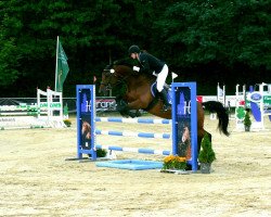 jumper Bolero 380 (Westphalian, 2009)