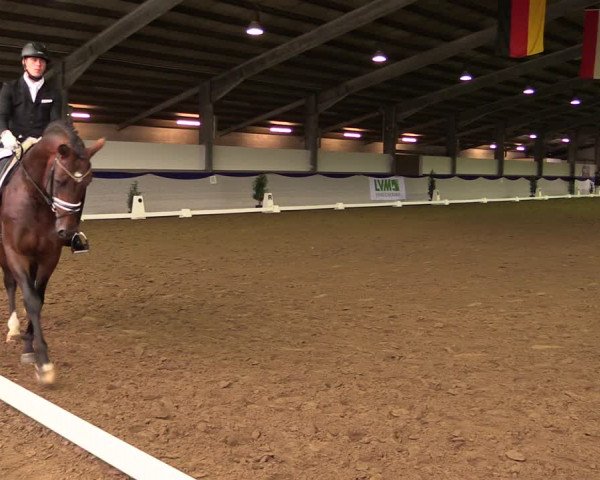 Reitturnier Münster-Albachten 2018
