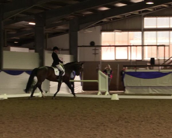 Reitturnier Münster-Albachten 2018