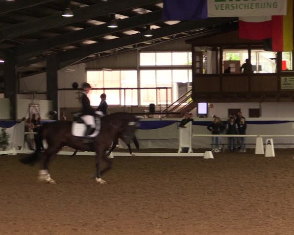 Reitturnier Münster-Albachten 2018