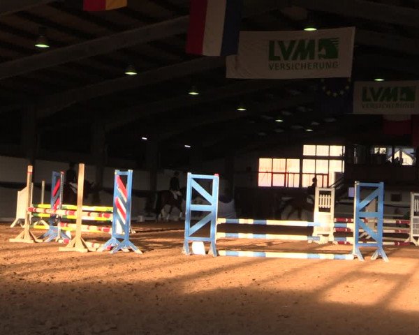 Reitturnier Münster-Albachten 2018