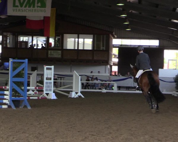 Reitturnier Münster-Albachten 2018