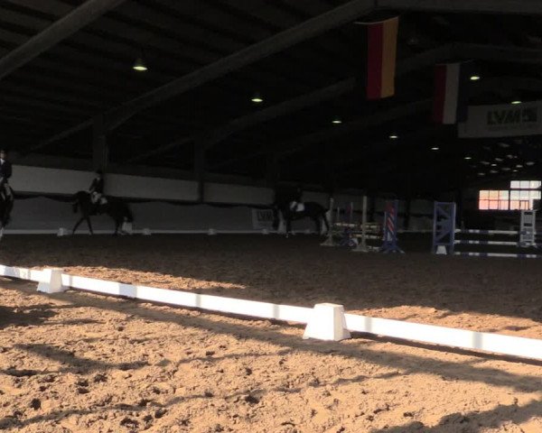 Reitturnier Münster-Albachten 2018