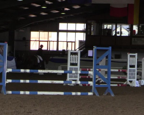 Reitturnier Münster-Albachten 2018