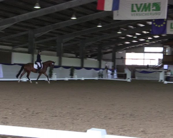 Reitturnier Münster-Albachten 2018