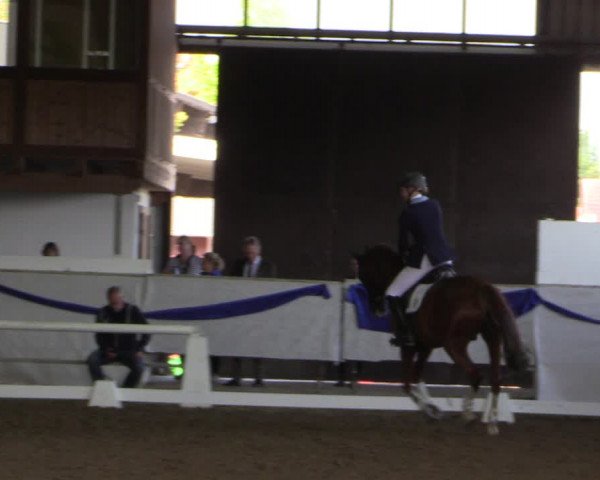 Reitturnier Münster-Albachten 2018