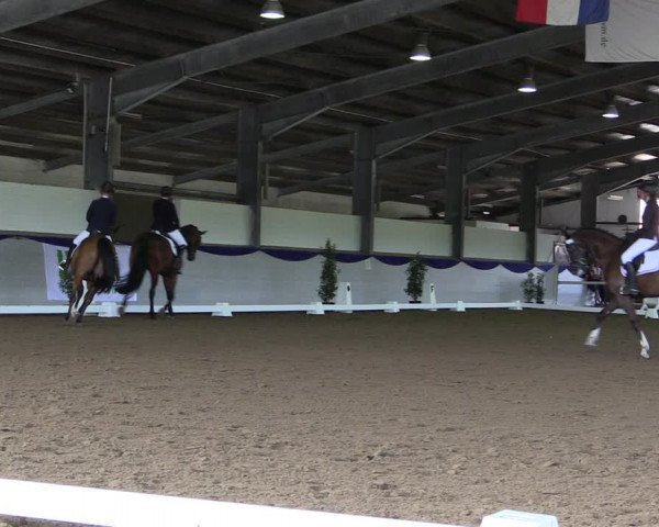 Reitturnier Münster-Albachten 2018